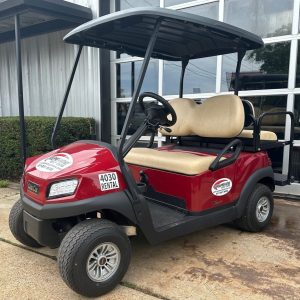 4 passenger golf cart rental texas