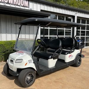 6 passenger golf cart rental texas